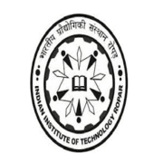 IIT image
